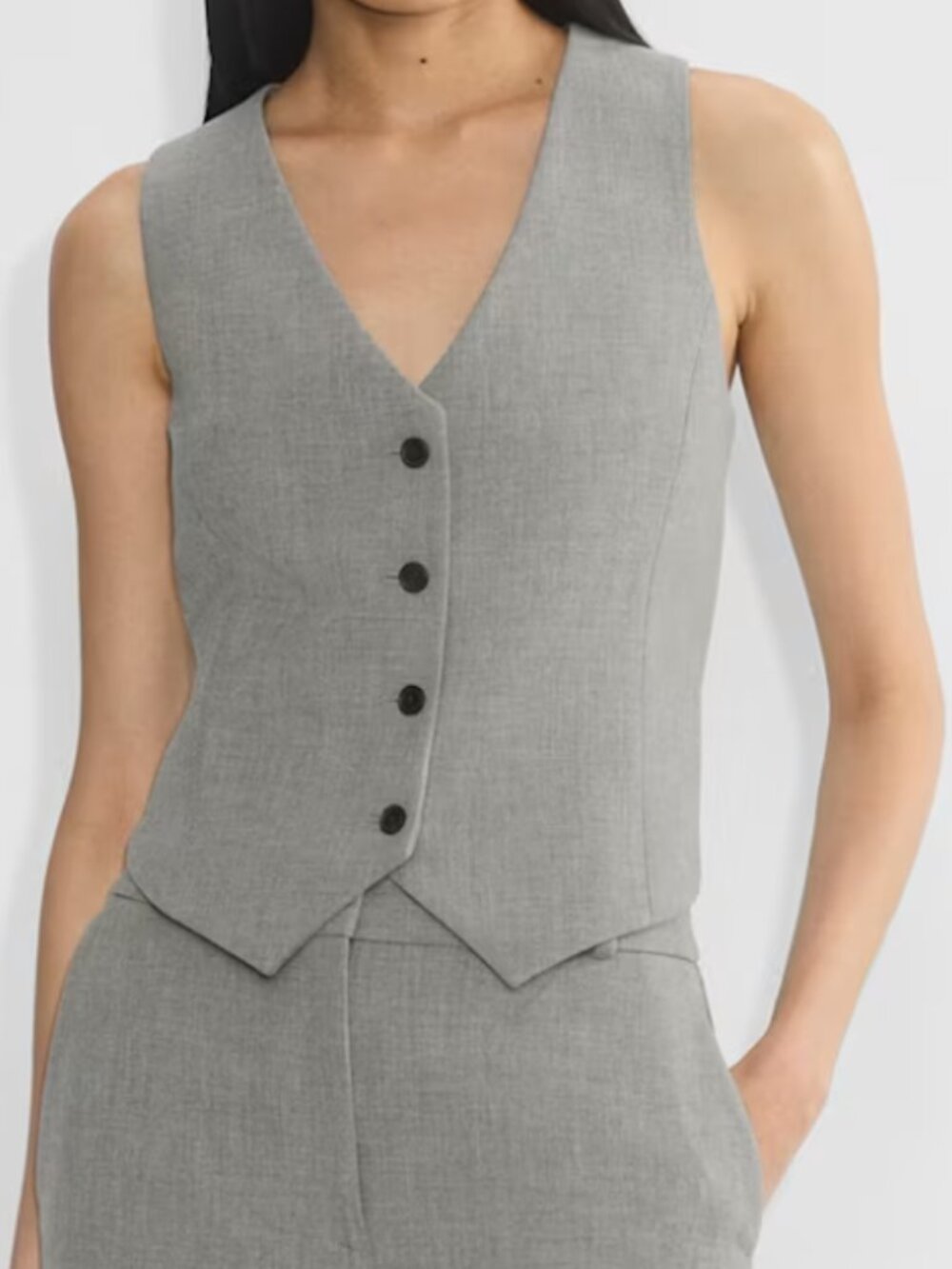 Babaton Aritzia Deniro Vest : 00